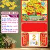 Mã Số: TN78 - Bìa Lò Xo (37x70) Bế Nổi - Mai Vàng Đón Xuân 1 Bìa Lò Xo Giữa Bế Nổi Mai Vàng Đón Xuân