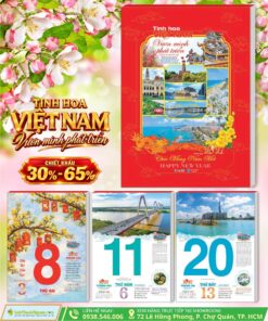 Bloc Đại Tinh Hoa Việt Nam Vươn Mình Phát Triển
